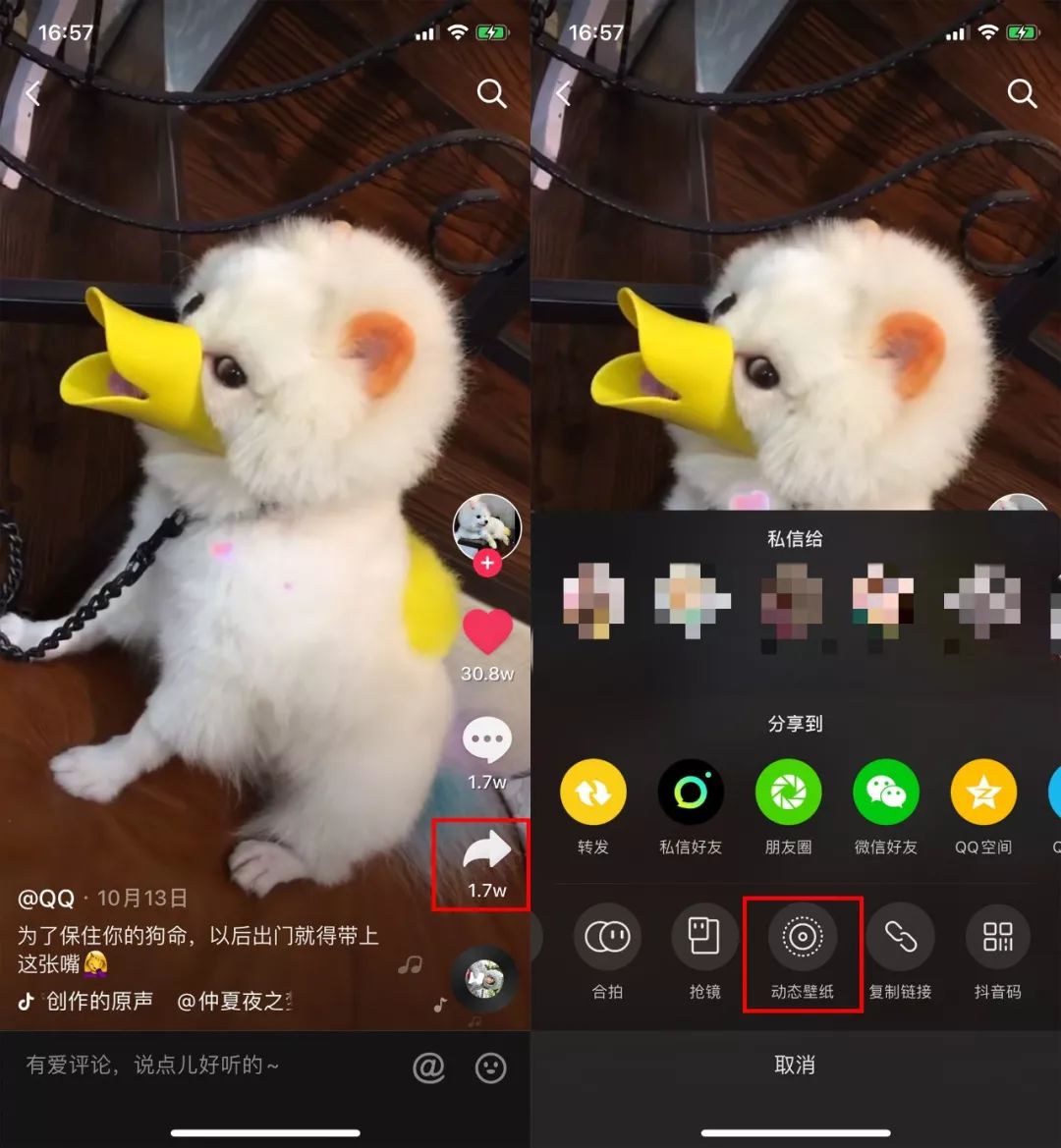 用了这么久苹果手机，才知道还可以这样设置动态壁纸，涨知识了