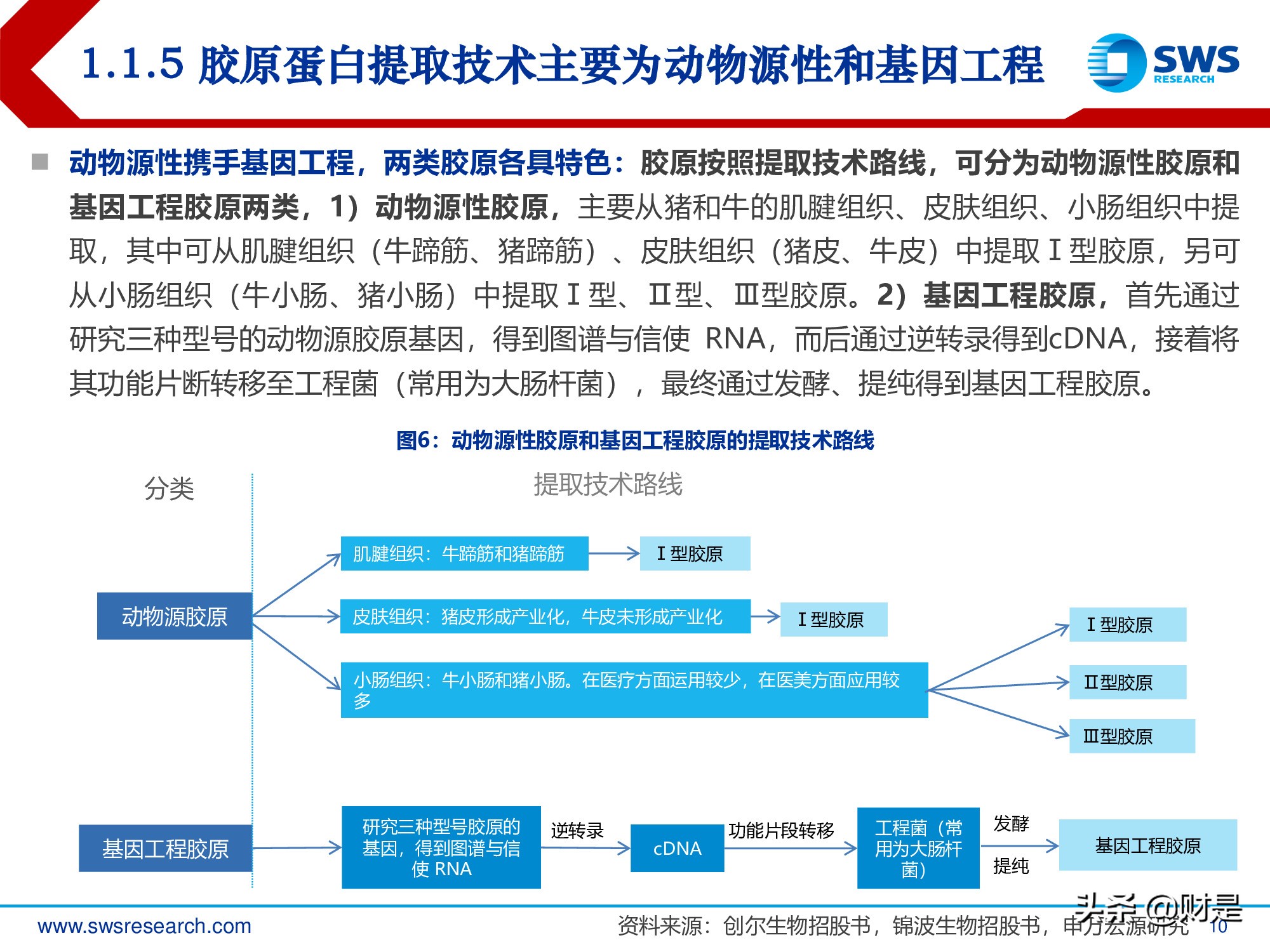 胶原蛋白行业深度报告：医美护肤日新月著，胶原蛋白蓄势待发
