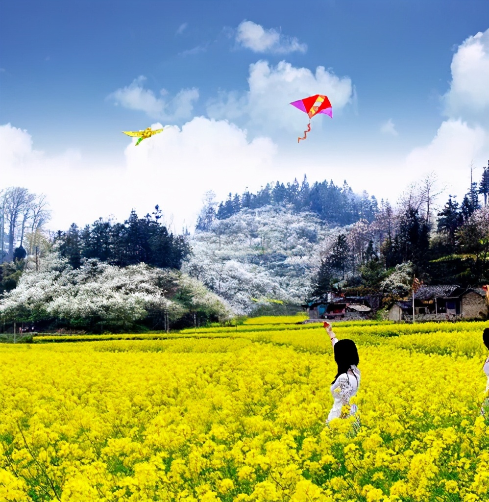 春日“花痴”指南：不输日本的贵州樱花园，下个月即将花开成海
