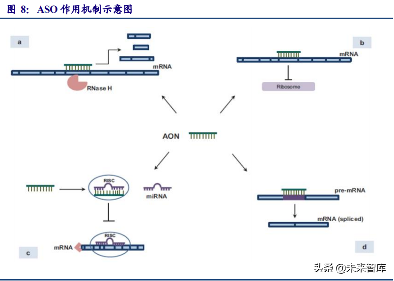医药行业专题研究报告：小核酸优质赛道分析