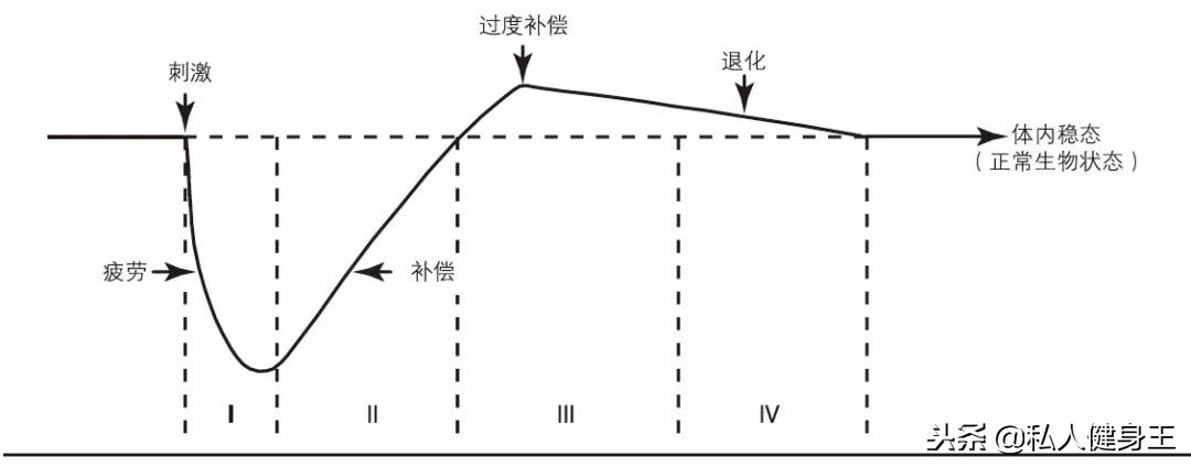 新手不会制定健身计划？手把手教你科学健身！