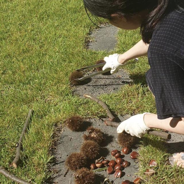 49岁李英爱带孩子玩，9岁龙凤胎身高到妈妈肩膀，女儿可爱漂亮