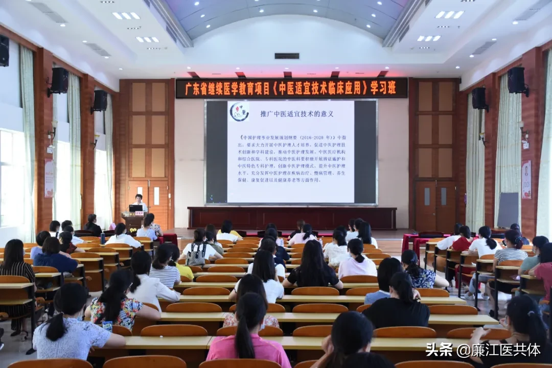 夯实中医技术，促进中医药服务能力再提升