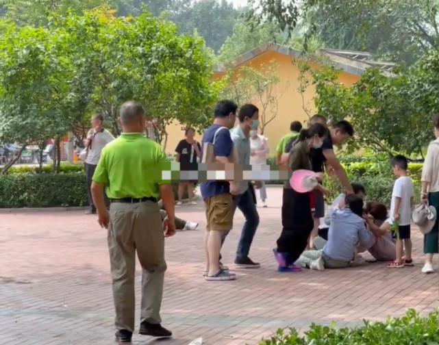 “夺笋”呢！两家游客在动物园打群架！官方：引起动物效仿