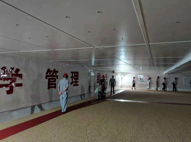 筑牢粮安基石——中储粮湖南分公司举办公众开放日活动