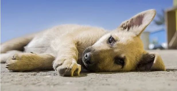 楼市变脸 穷人买房更难了！