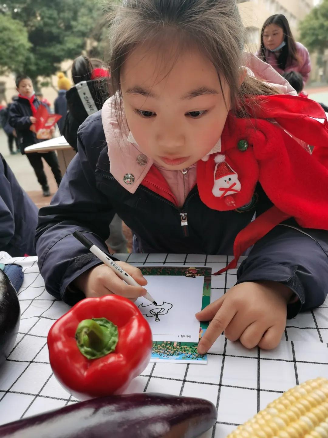 成都市华阳中学附属小学——三年级期末综合素质测评