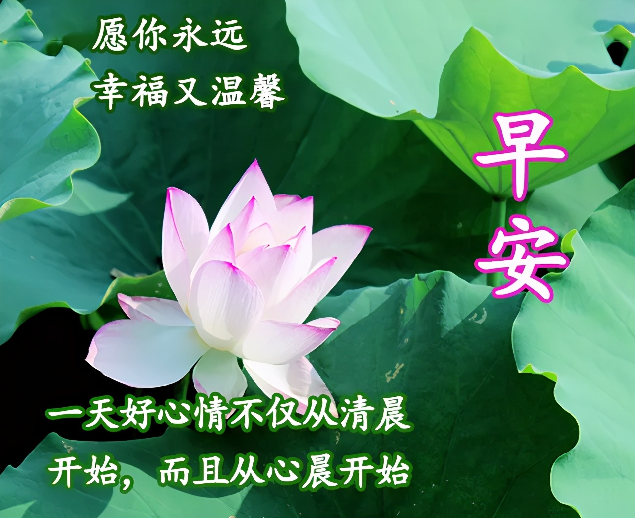 2021漂亮早安图片 余生很贵，努力活成自己想要的样子图片