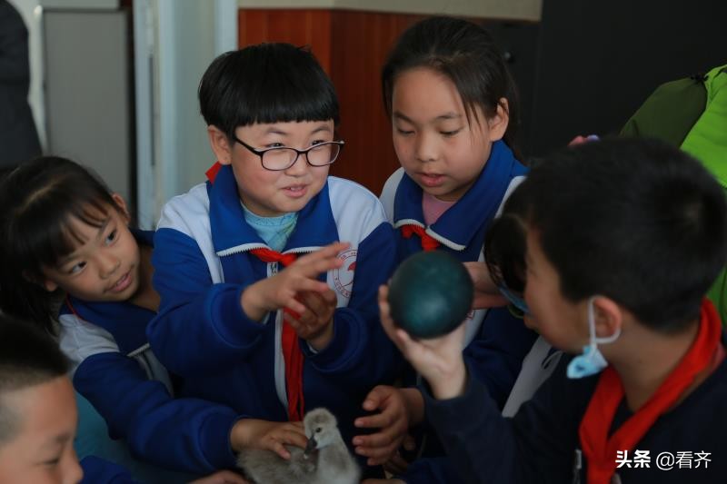 齊齊哈爾育紅小學(xué)怎么樣?走進(jìn)大自然開眼界(圖3)