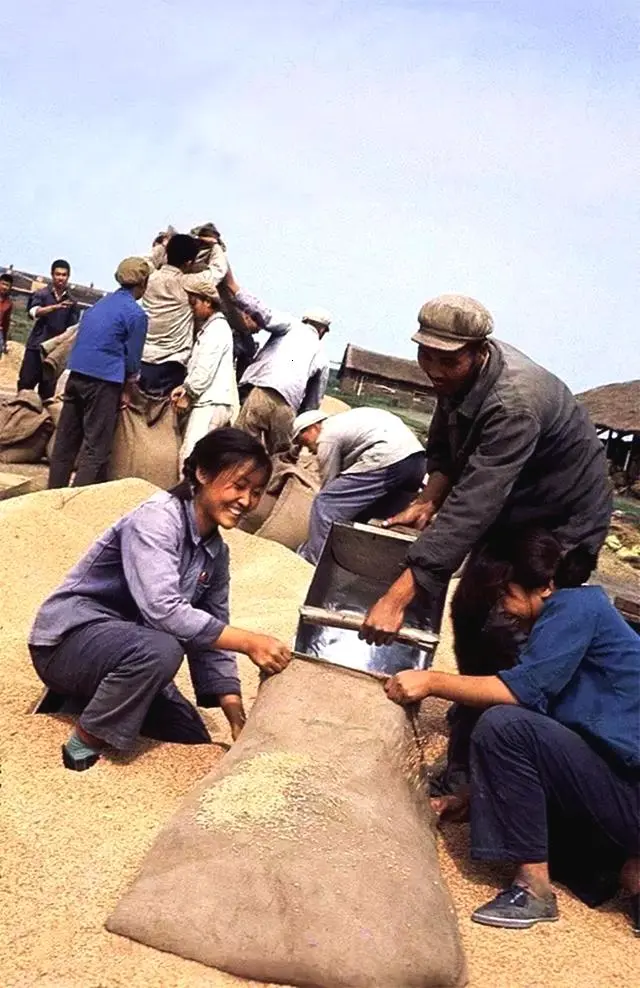 记录火红年代青春岁月的照片