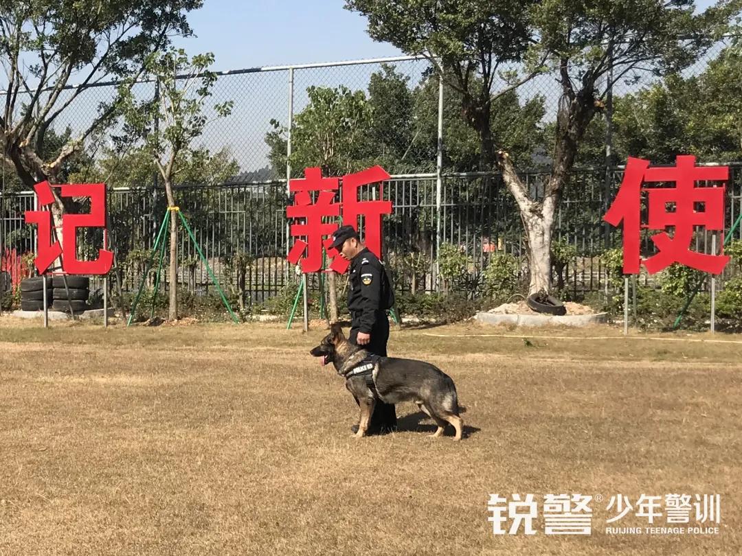 疯狂种草！人气爆棚的广州亲子游打卡地，收获快乐，提升技能