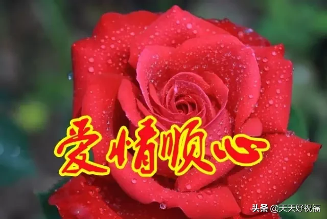 ʮںηյ@ף\