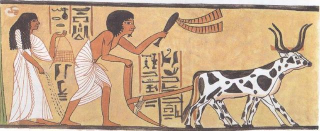 古埃及和中国古代的出土文物对比——谁在“造