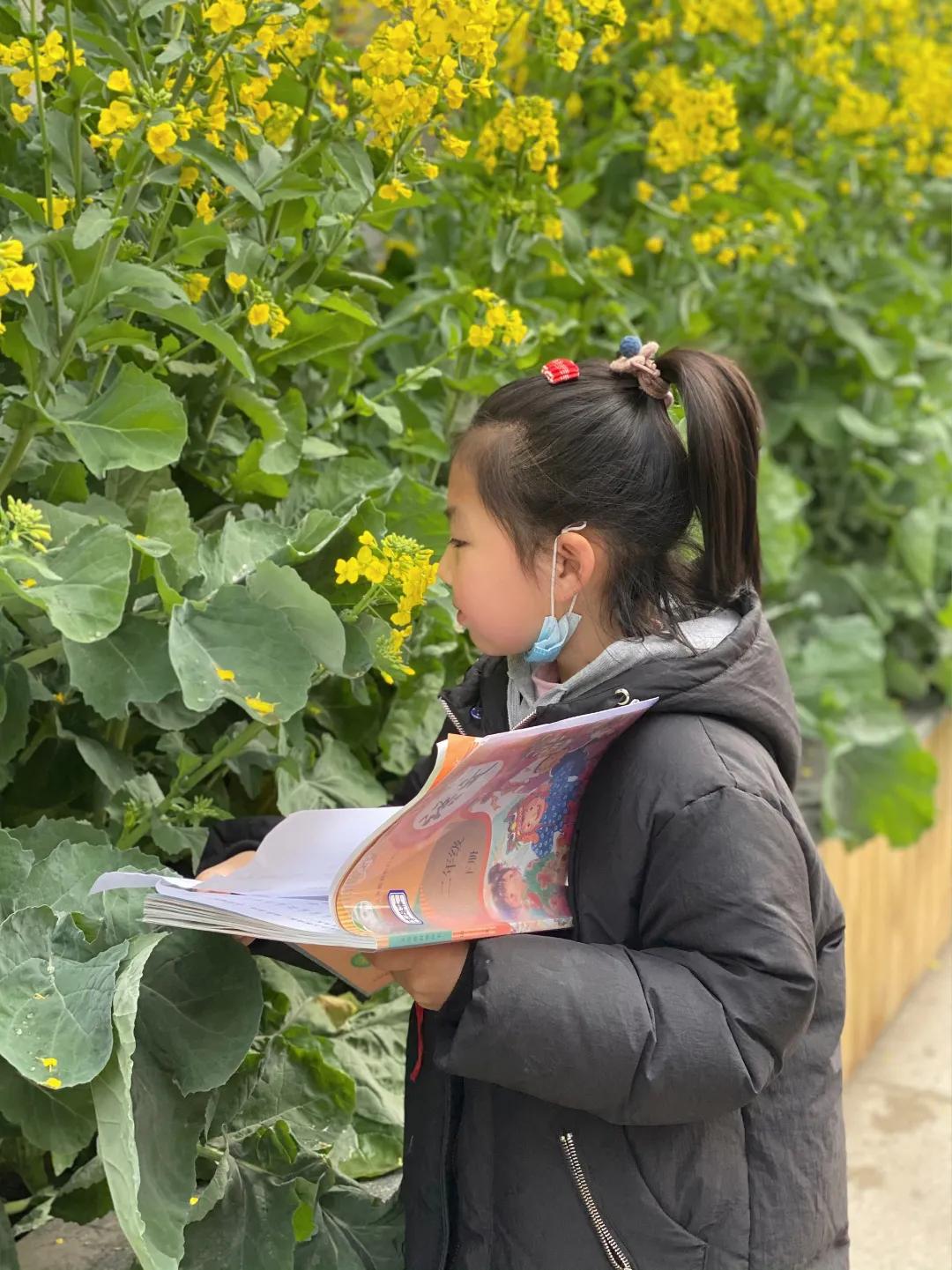 带上五官到校园里寻找春天——成都市华中附小大自然的语文课