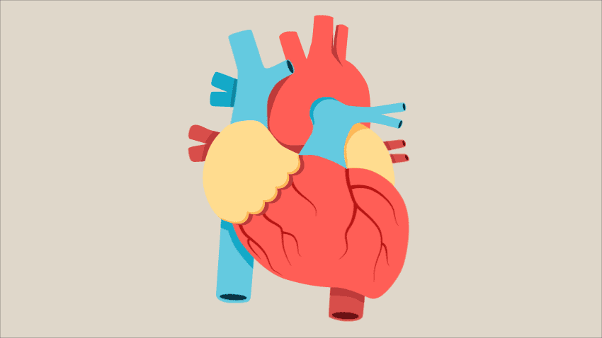 心跳有个「安全范围」！心脏专家划出3条不能跨过的“红线”