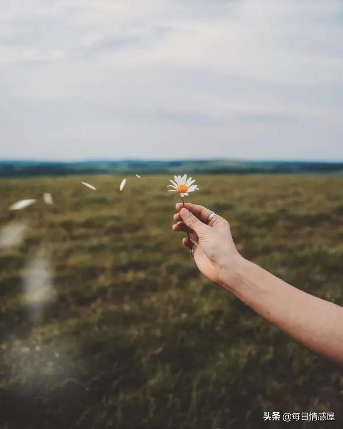 如阳光般励志的正能量句子