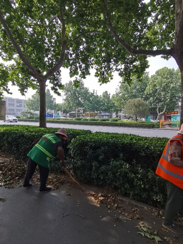 如何用园林栽培技术防治园林植物病虫害-第3张图片-农百科