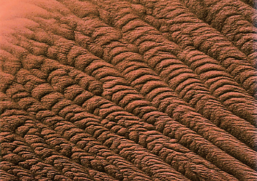 塔克拉玛干沙漠，中国最大的沙漠才不是“死亡之海”！