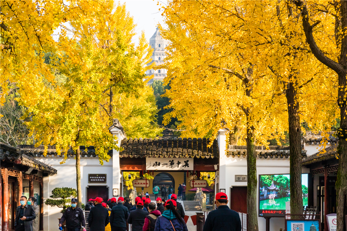 秋天蘇州怎么玩，一年一度的文化大餐，各個藝術門類的饕餮盛宴