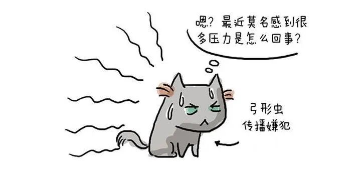 “弓形虫”不是洪水猛兽！无需恐慌，但不能大意