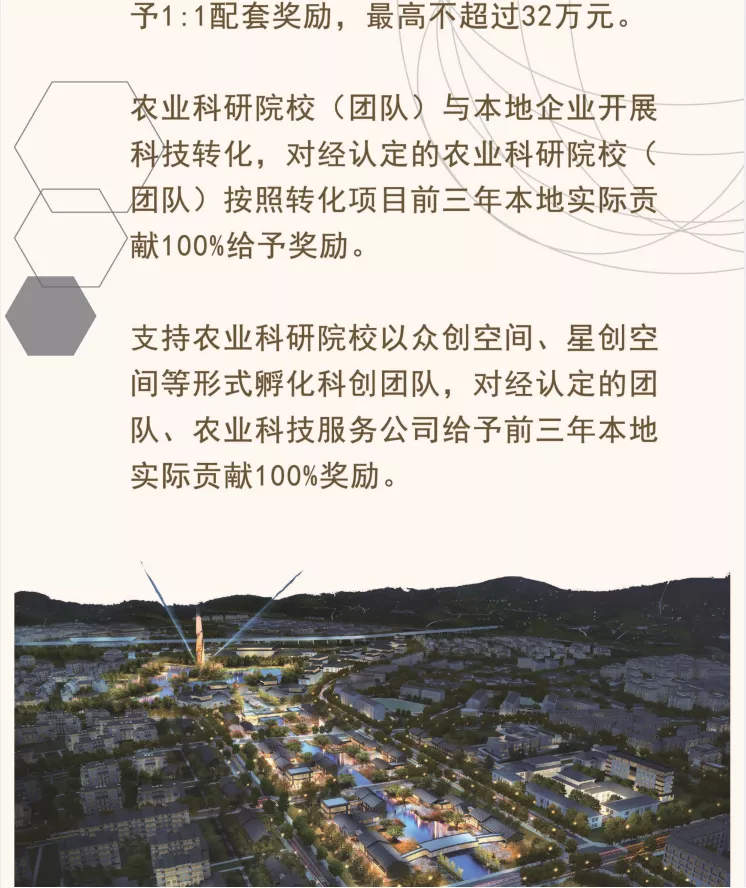 乡村振兴高质量发展十条政策