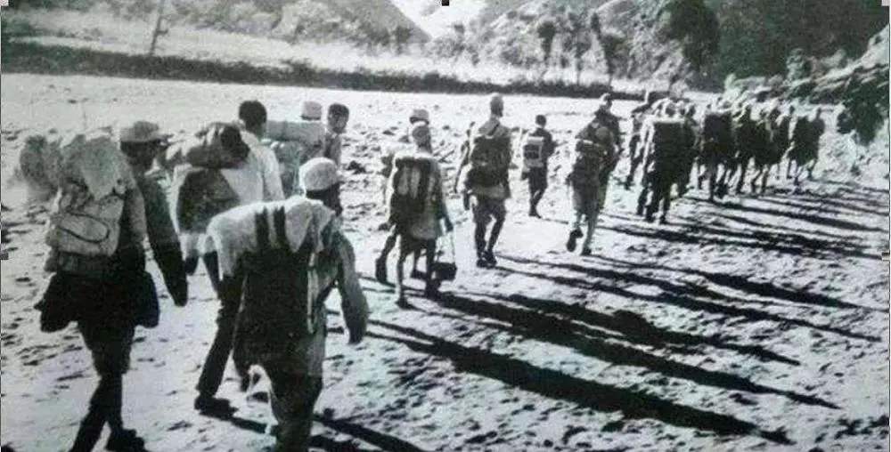 数十万蒋军穷追不舍，林彪弹尽粮绝，金日成紧