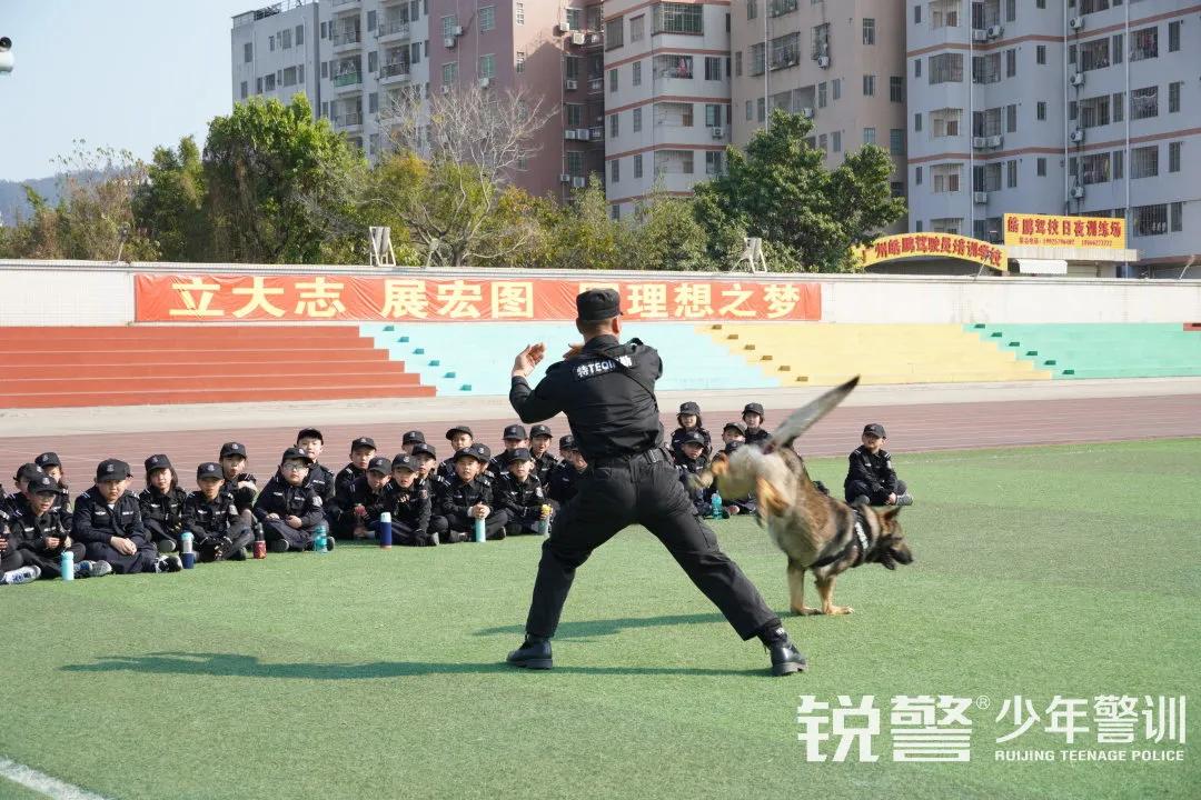 特警突击营圆满结营：历经警训淬炼，成就英勇少年