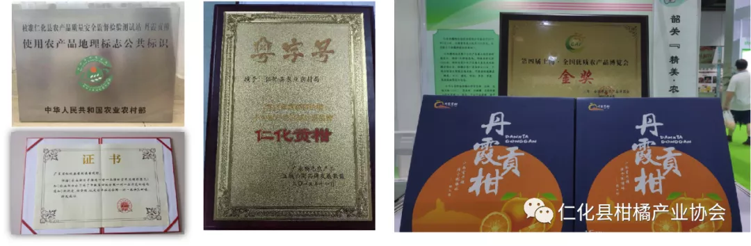 不看不知道!原来丹霞贡柑有这么多秘密!你吃对了吗?