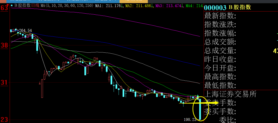 卧槽：B股指数暴跌7%