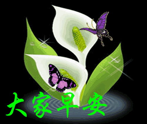 清晨问候早安的简短语句，新的一天早安祝福语精美语句图片
