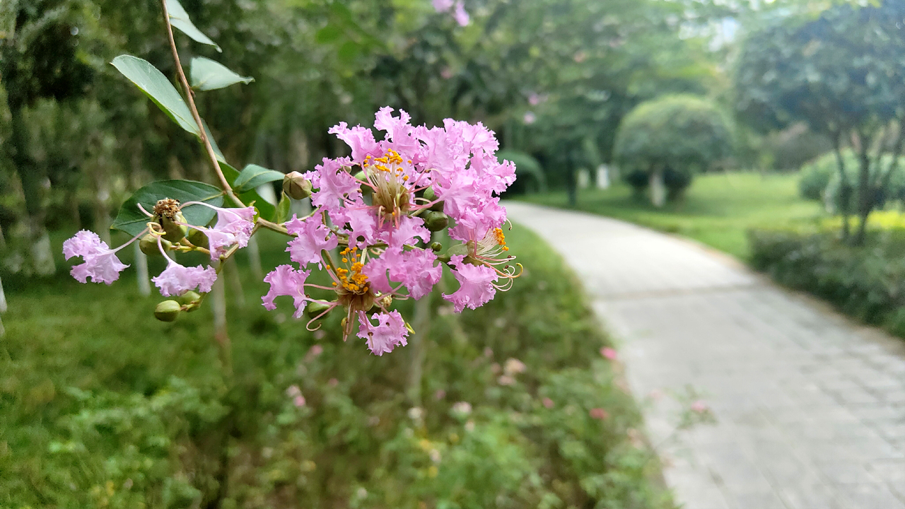夏日里海风相伴，OPPO Reno5 Pro+记录厦门印象