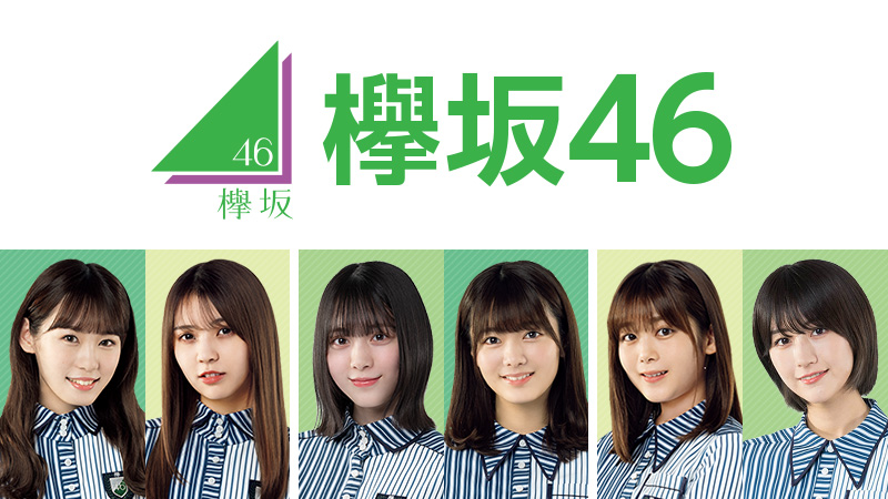 樱坂46这个名字的由来 以及为什么从榉坂46改名呢 小碗娱乐吧 Mdeditor
