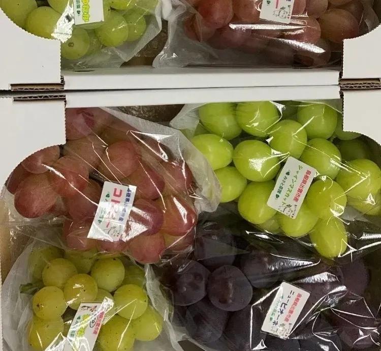 What is the difference between grapes and raisins? iNEWS