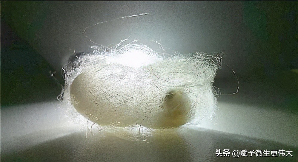 那年那月——永远怀念陇上书痴康务学先生