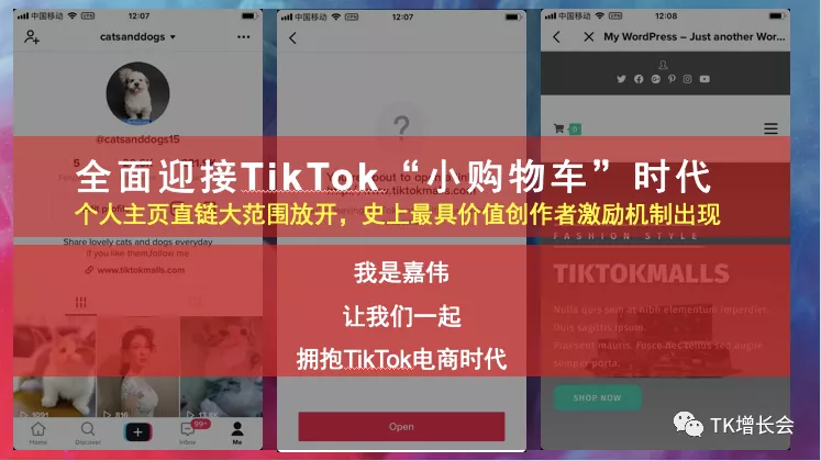 KiahWee|怎么通過國際版抖音TikTok賺錢