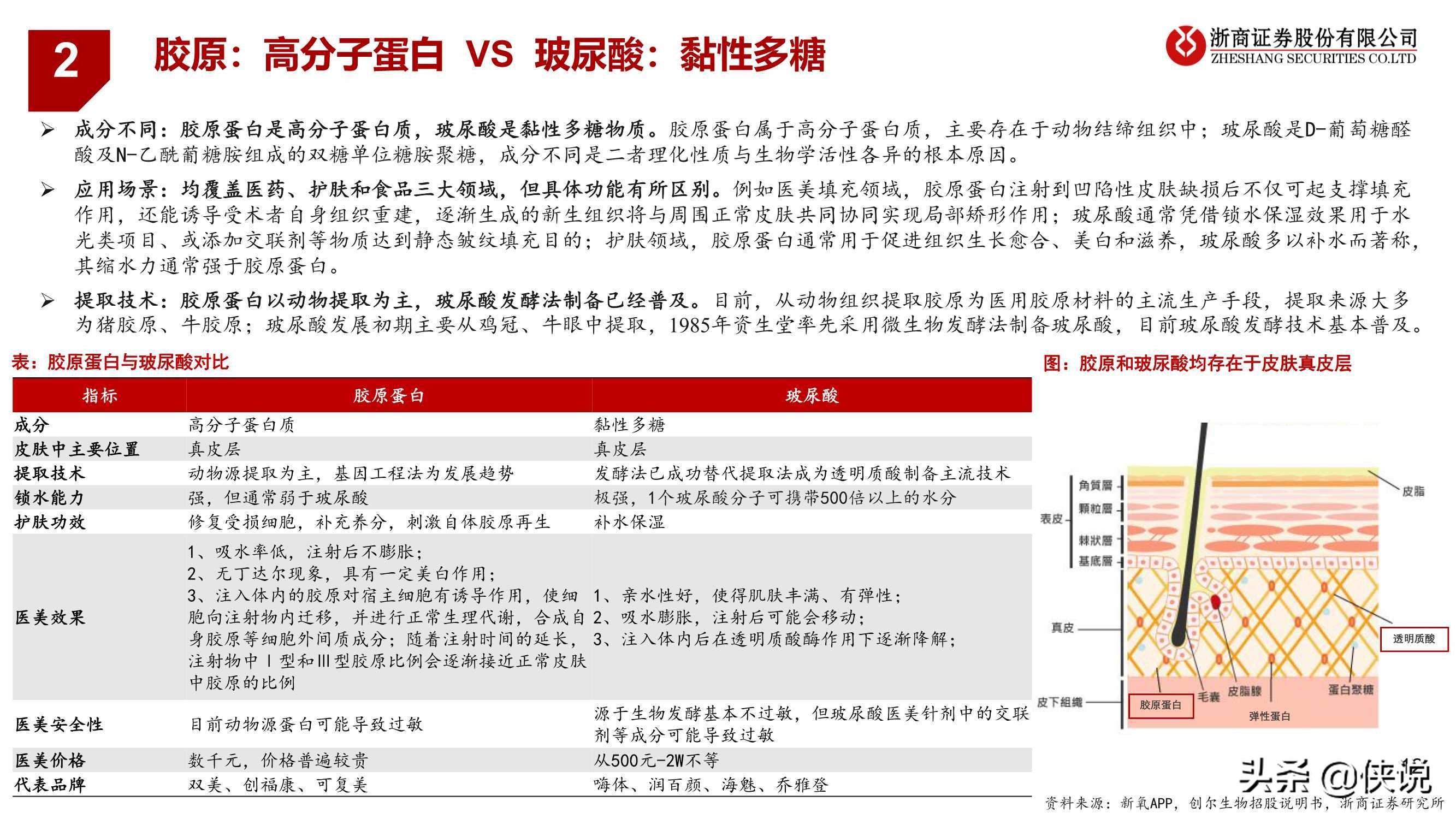 医药生物行业胶原蛋白：与玻尿酸并驾齐驱的掘金赛道（浙商证券）