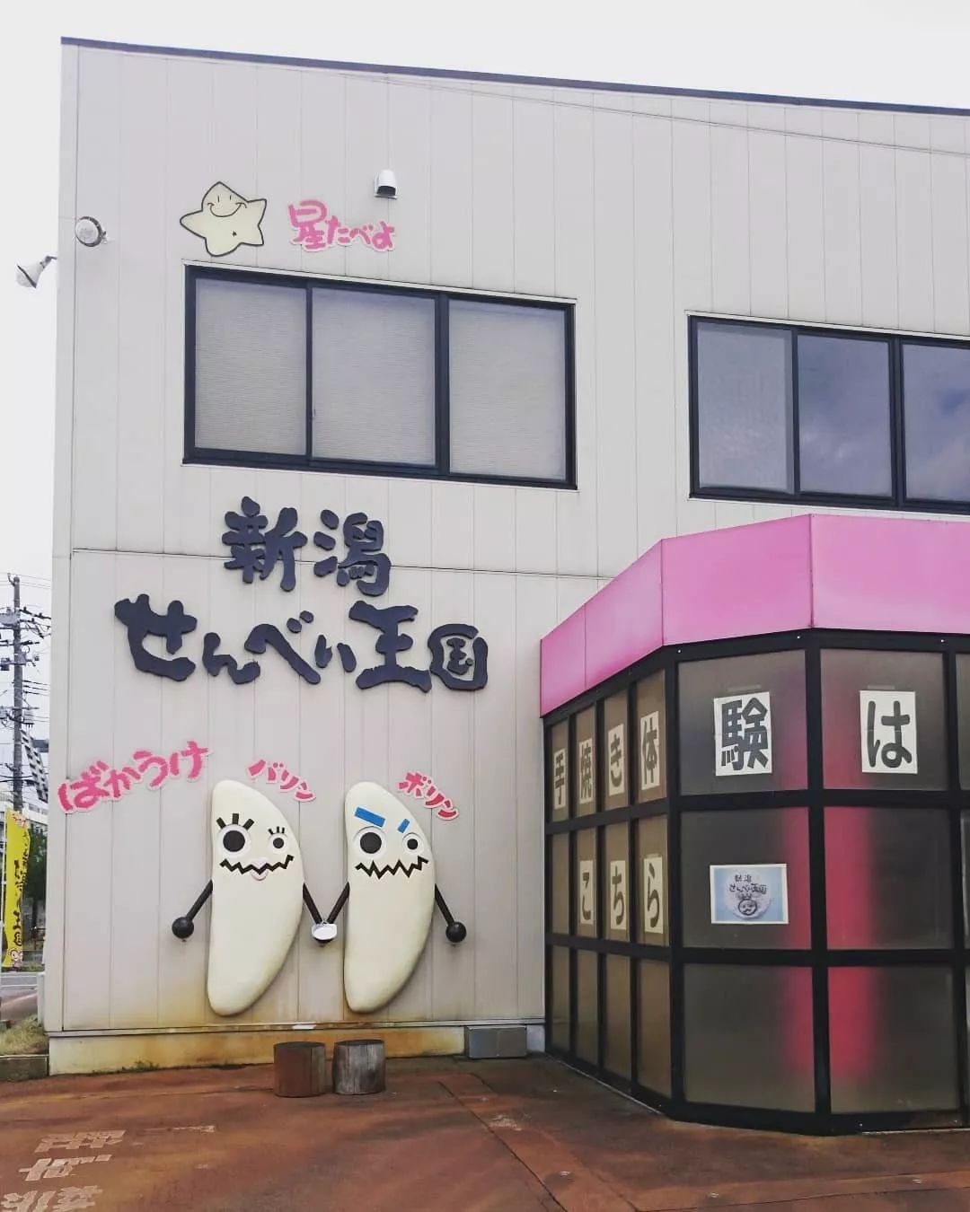 日本美食工业旅游：精彩纷呈，体验丰富