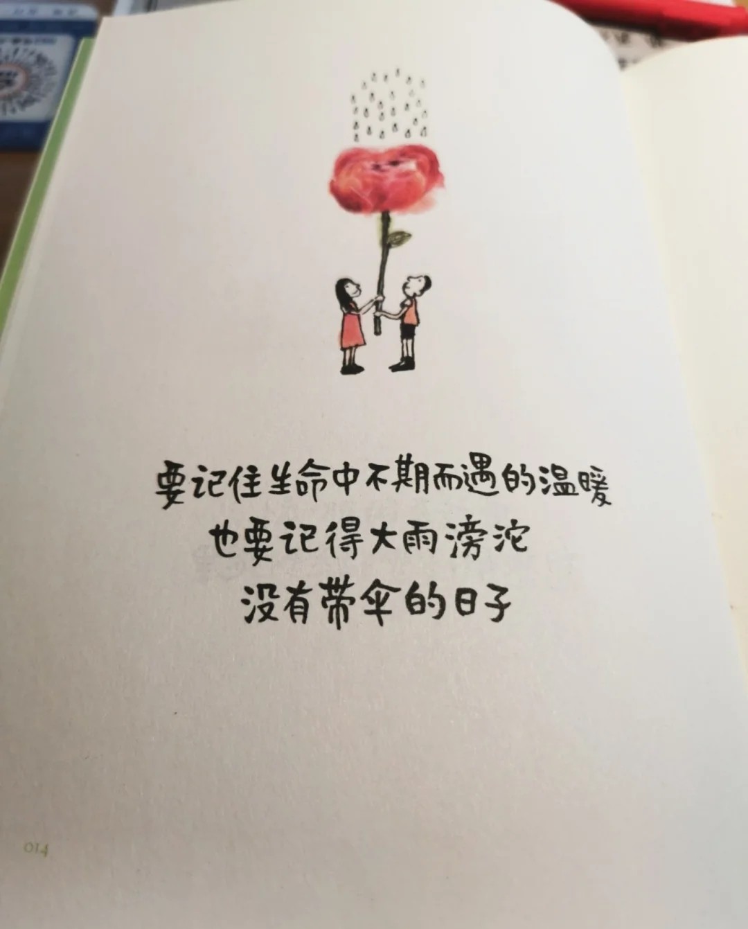 等一朵花开 超治愈的一本书 值得你拥有 资讯咖