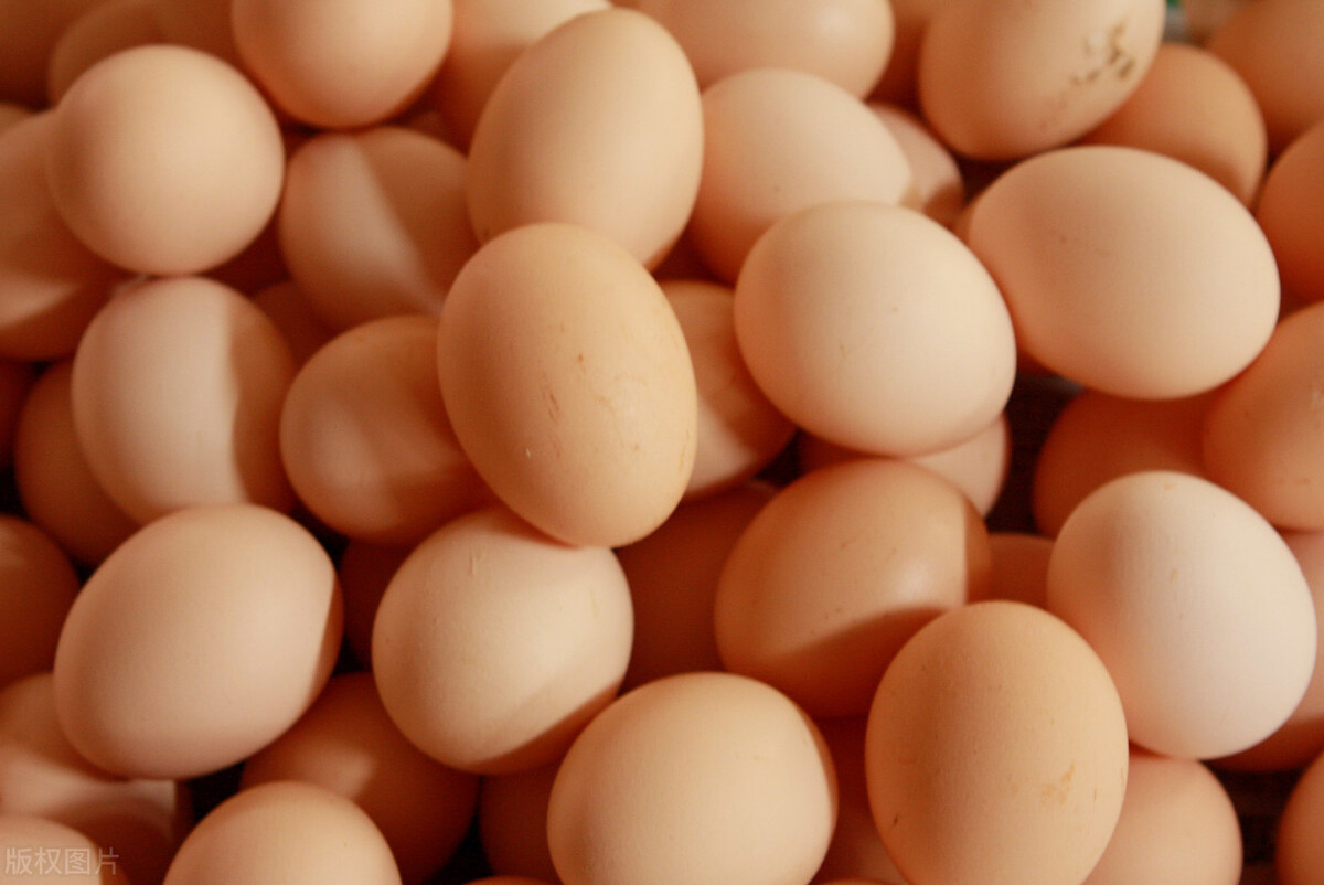 Eggs, duck eggs, geese and quail eggs, nutritional differences are so