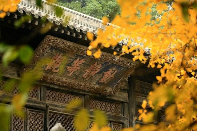 还在谈论“逃离北上广深”？这届年轻人早就不这么想了