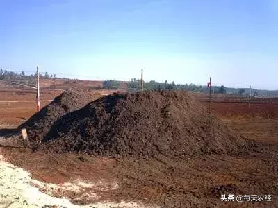 能当底肥使用的菌剂,你见过吗?