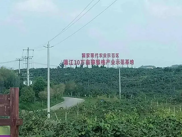 中国农民在减少，农产品为什么能增加？