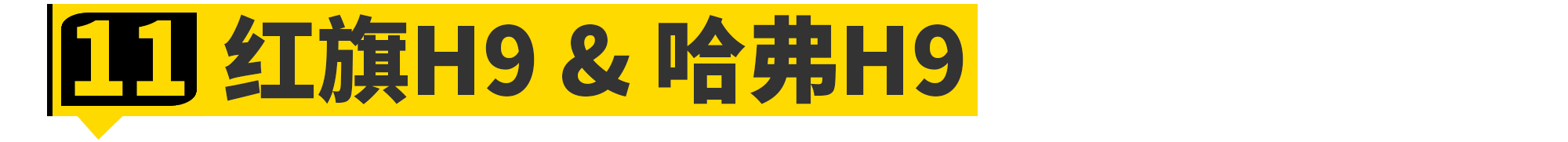 红旗H9、哈弗H9......这11款车名竟然一样