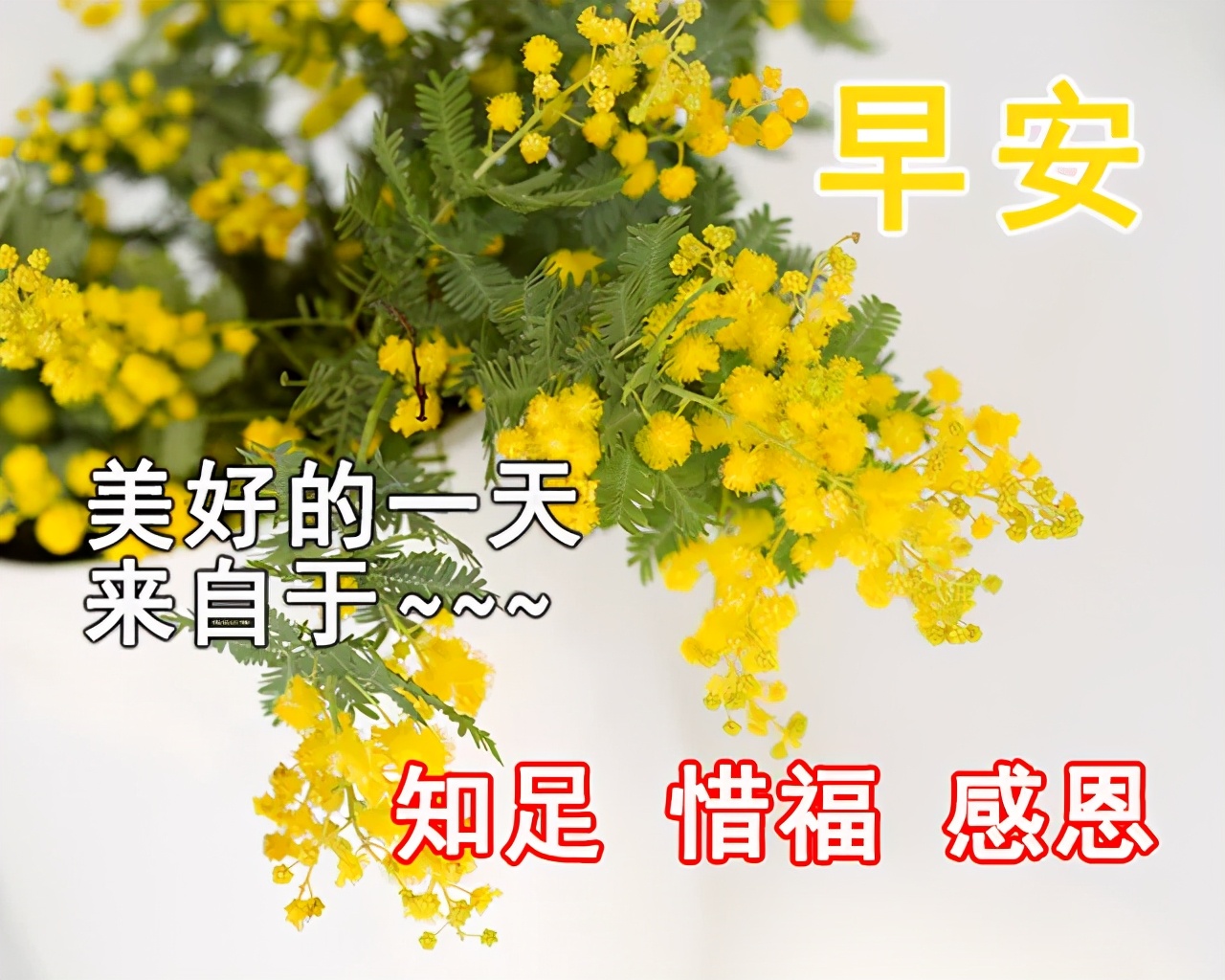 早上好表情动态 祝福语问候语 图片