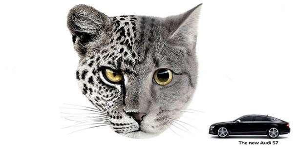 《营销》“250定律”让你广积人脉