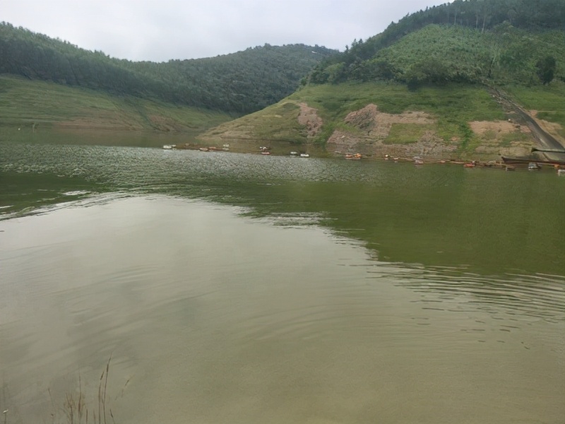 水產養(yǎng)殖池塘藥物消毒注意事項