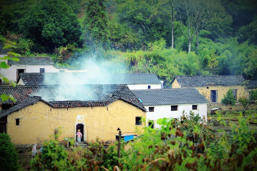 治愈人心的诗句，人间烟火气，最抚凡人心-第2张图片-非凡网