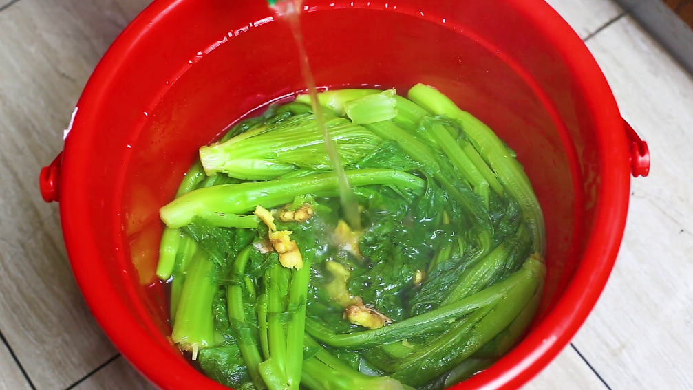 图片[8]-制作酸菜的简单做法 腌制3天就能吃 脆爽可口-起舞食谱网