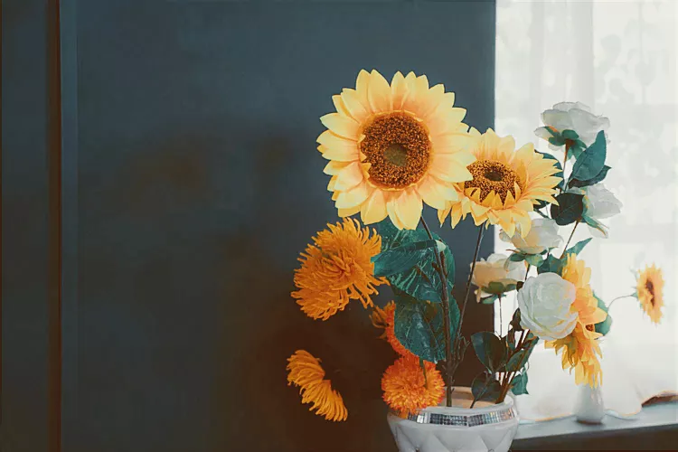 想靠短视频赚钱?分享5个正式运营前需要知道的注意事项，建议收藏