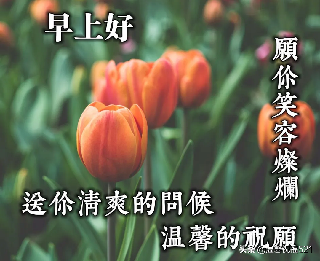 微商早安图片2021新图片 早上好唯美暖心问候语 图片
